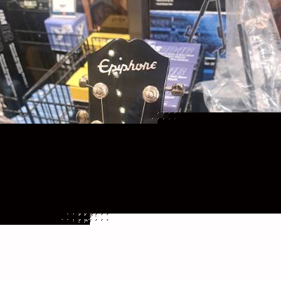 Store Special Product - Epiphone USA Casino